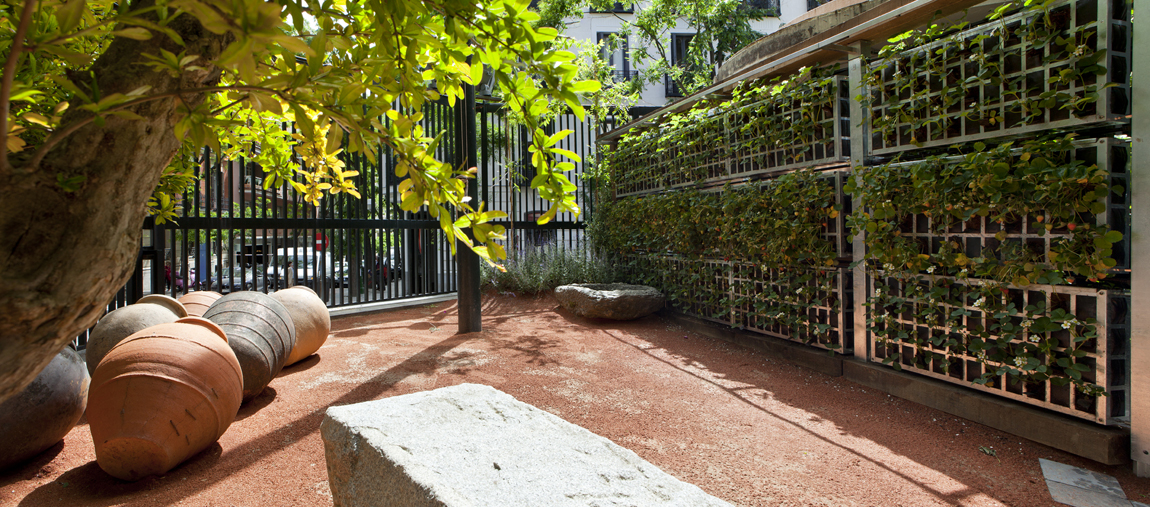 Huerto urbano por Miguel Moreno Mateos en Casa Decor 2013