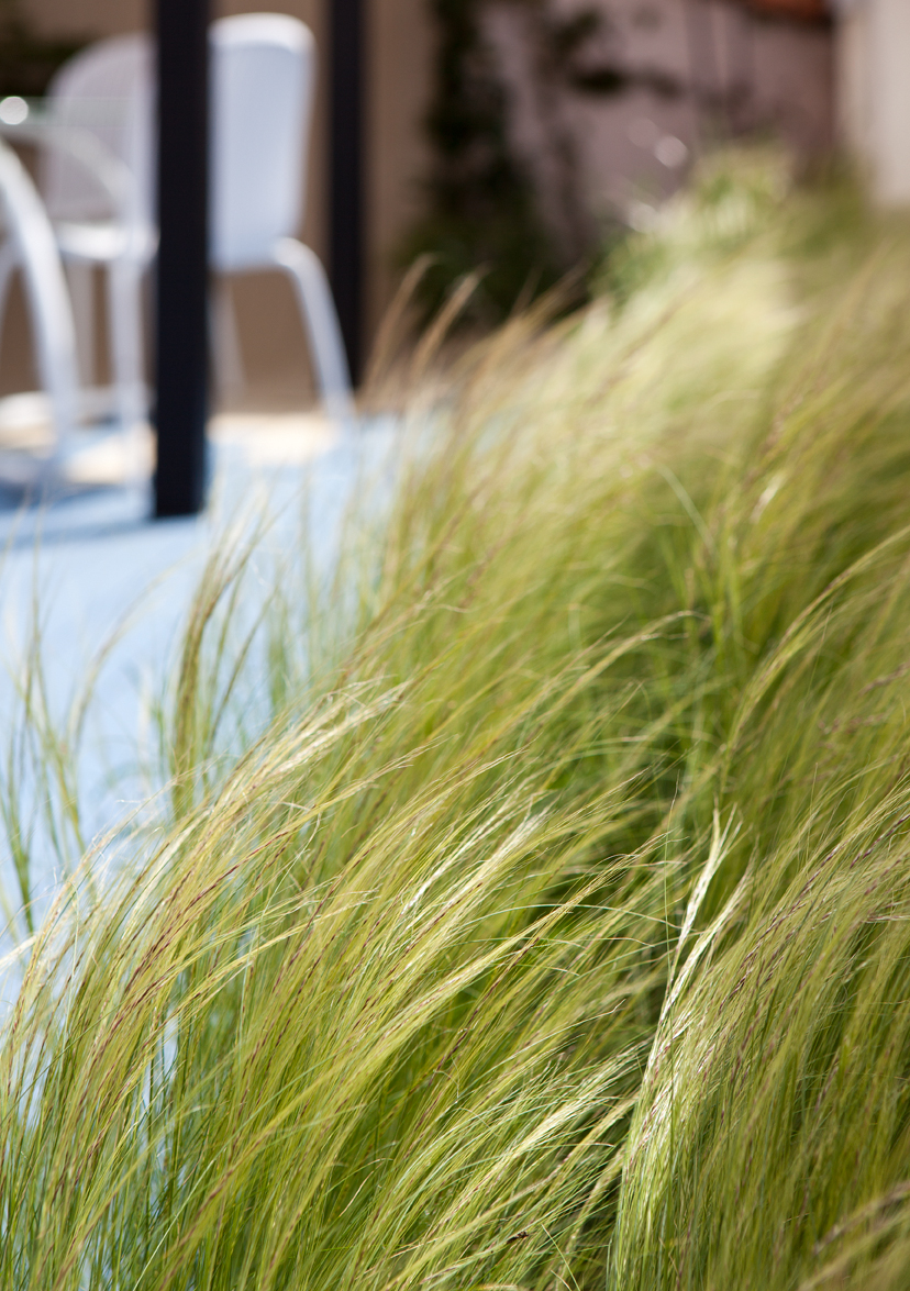 Terraza urbana por Miguel Moreno Mateos en Casa Decor 2015