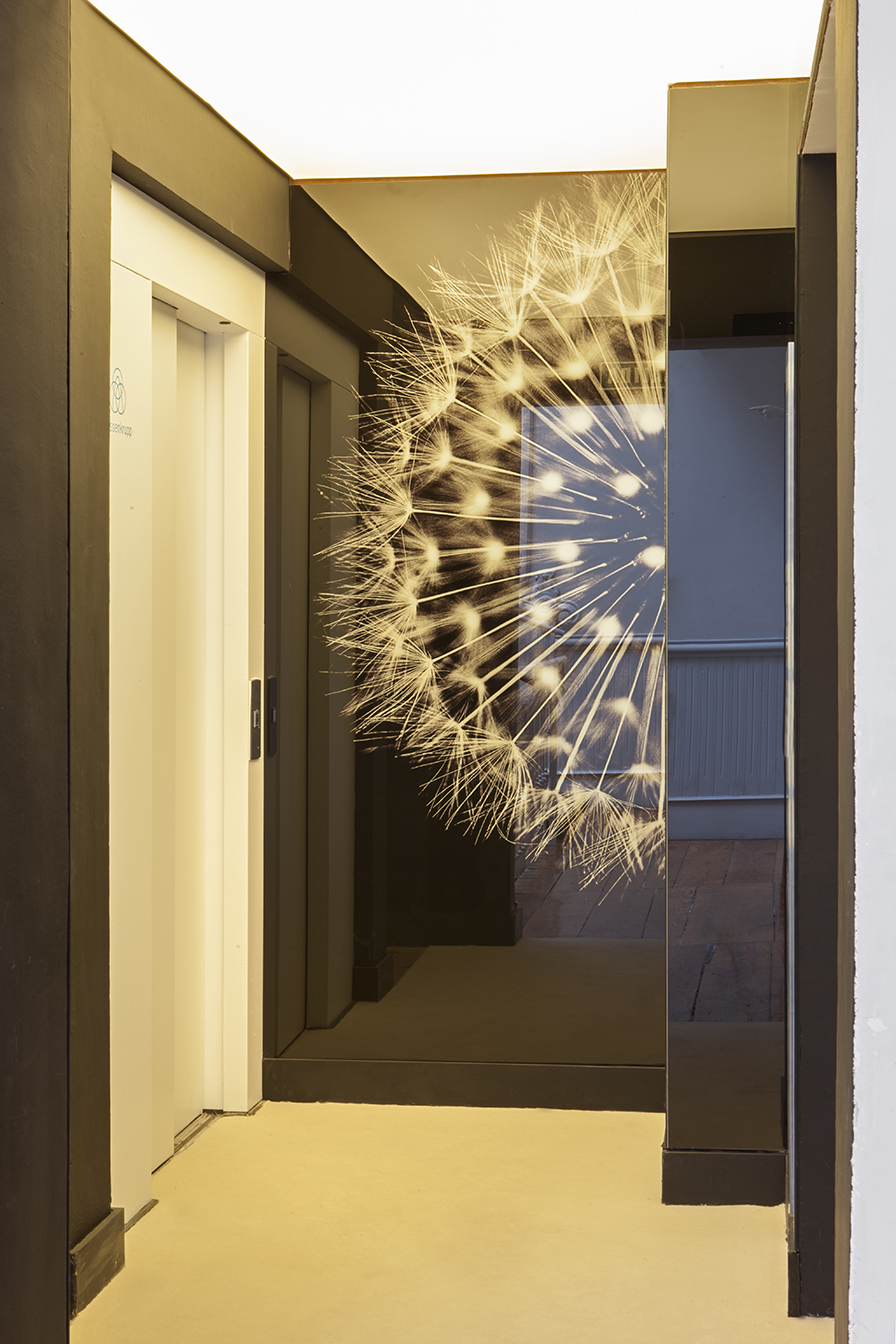 Ascenores y desembarcos de Noviembre Estudio para ThyssenKrupp en Casa Decor 2016