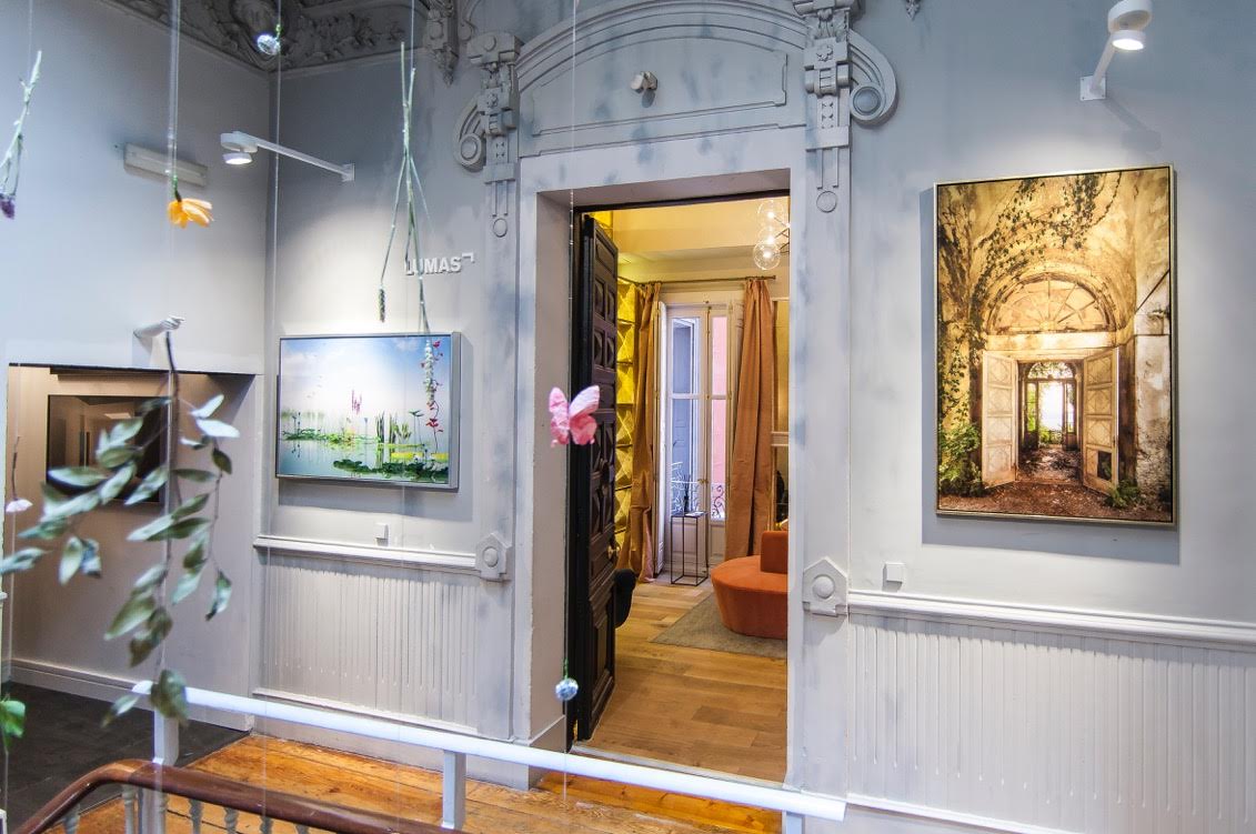 Pared creativa de la galería fotorgráfica Lumas en Casa Decor 2016