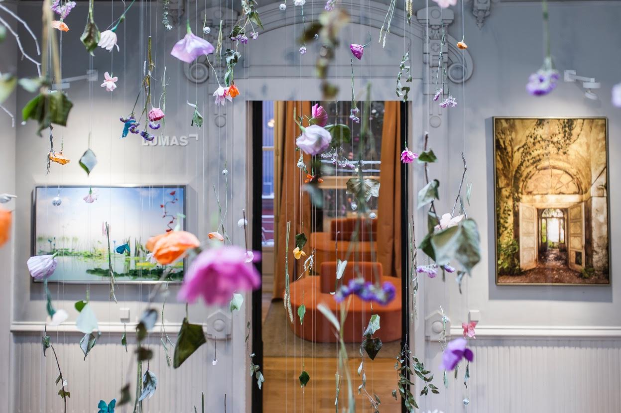 Pared creativa de la galería fotorgráfica Lumas en Casa Decor 2016