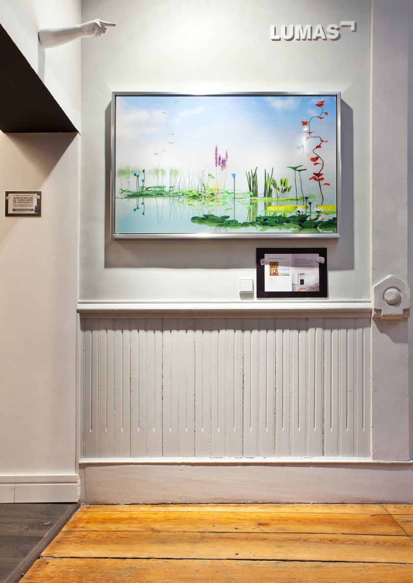 Pared creativa de la galería fotorgráfica Lumas en Casa Decor 2016