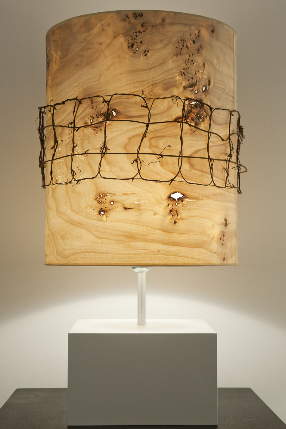 Mariano Concha, espacio Construgarantía, "Elementos de la Naturaleza", en Casa Decor Barcelona 2010