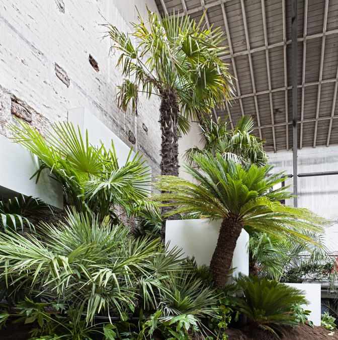 Jardín primigenio – «NATURA»