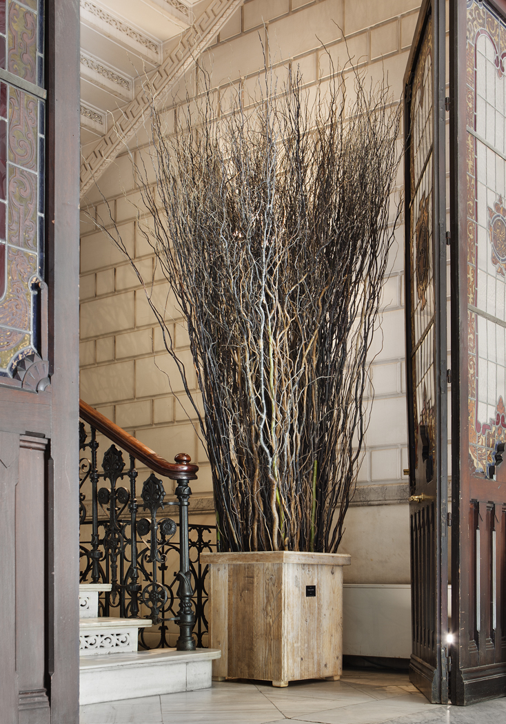 Fransen et Lafite, entrada Casa Decor, "l Jardín" en Casa Decor Madrid 2012