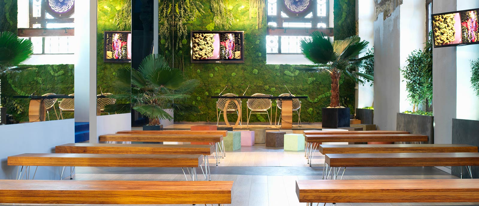 Auditorio y Sala de Expositores – «Espacio ORGANIQUES»