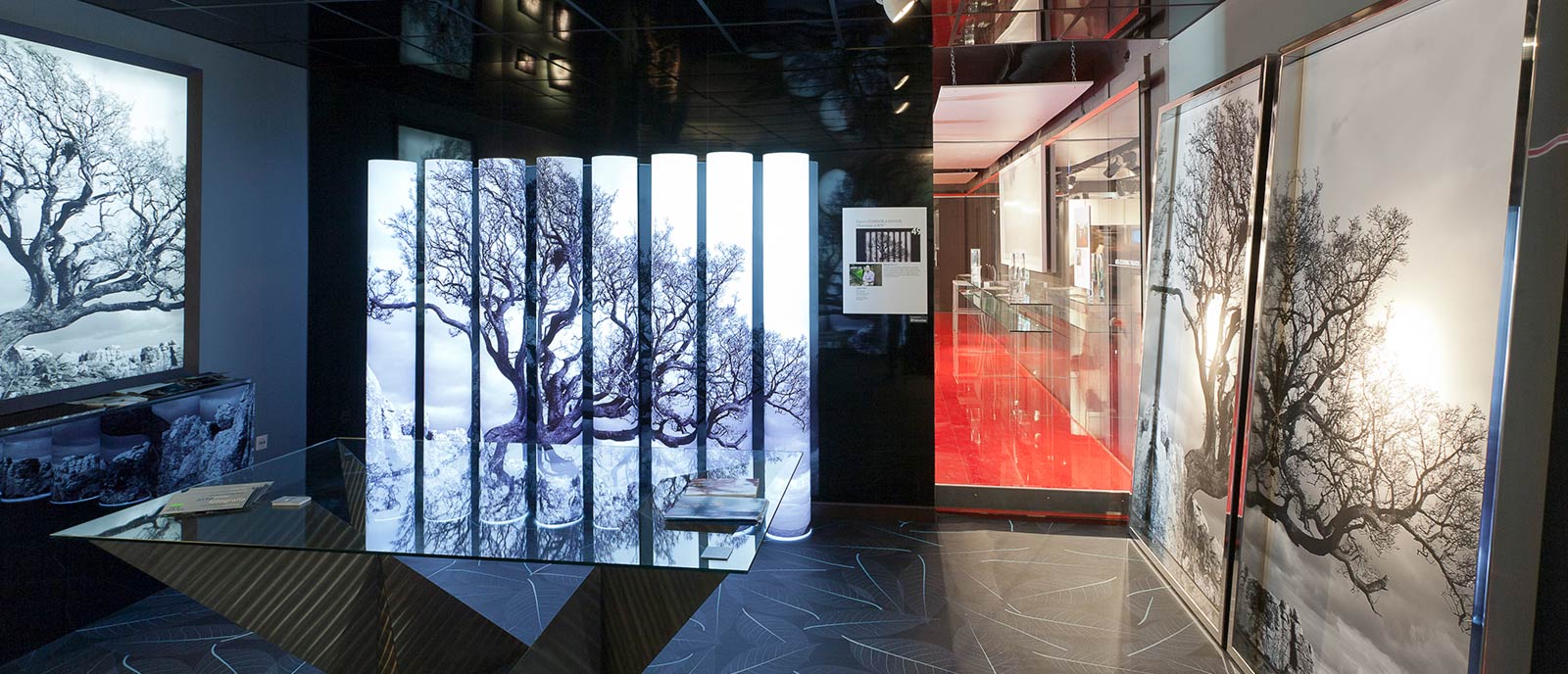 Espacio Clorofila Digital – «Naturaleza en B/N»