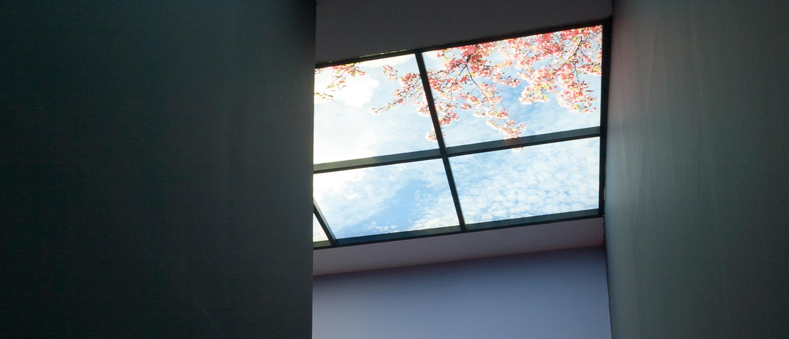 Falsos techos Sky Factory – «La fábrica de los cielos»
