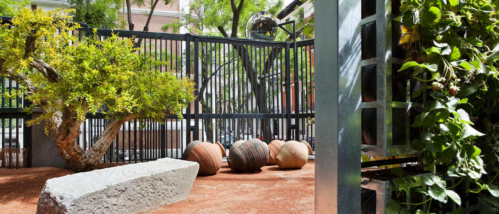 Huerto urbano – «Arcadia»
