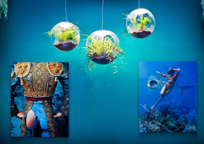 fotografias decorativa en Casa Decor 2017