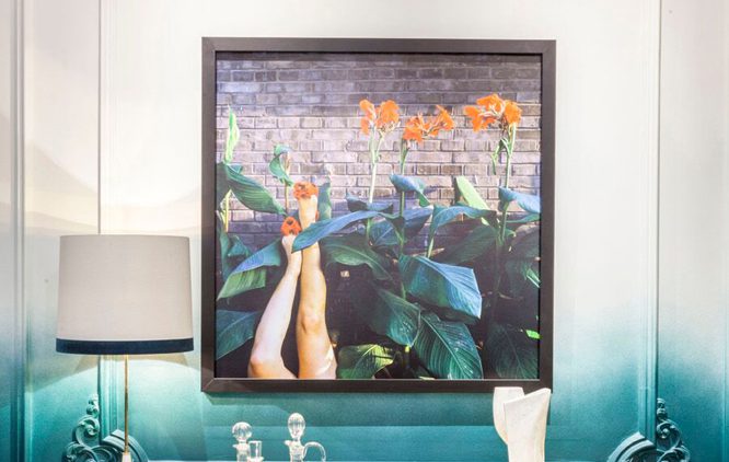 fotografias decorativa en Casa Decor 2017