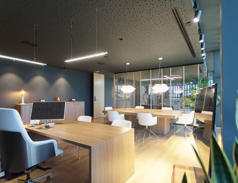Oficinas del Grupo Sureste. Despacho y sala de reuniones