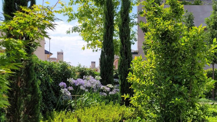 El estudio de paisajismo de David Jiménez diseña este jardín, que combina estilos mediterráneo y oriental